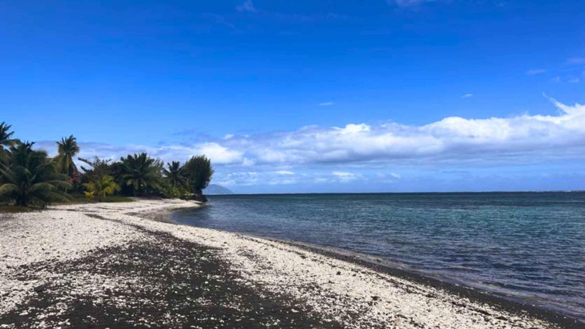 Tahiti - Domaine Mango Lodge Papara Dış mekan fotoğraf